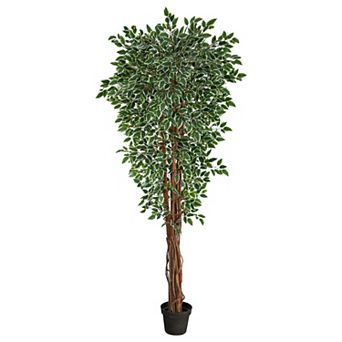 nearly natural 5-ft. UV Resistant Variegated Ficus Artificial Tree