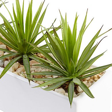 nearly natural Mini Agave Artificial Plant in Rectangular Ceramic