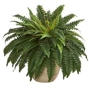 nearly natural 22 in Boston Fern Artificial Plant in Sandstone Planter
