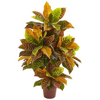 nearly natural 36 in Real Touch Croton Artificial Plant