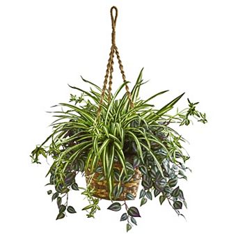 nearly natural 30 in Silver Inch & Spider Artificial Plant in Hanging Basket