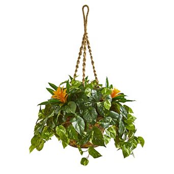 nearly natural 31 in Bromeliad & Pothos Artificial Plant in Hanging Basket