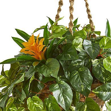 nearly natural 31-in. Bromeliad & Pothos Artificial Plant in Hanging Basket
