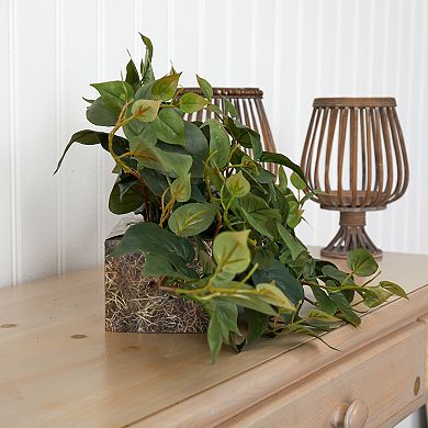 nearly natural 31-in. Philodendron Artificial Ledge Plant