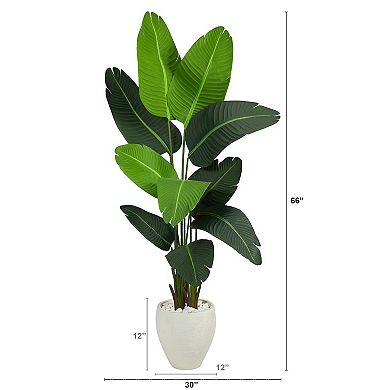 nearly natural 5.5-ft. Travelers Palm Artificial Tree in White Planter
