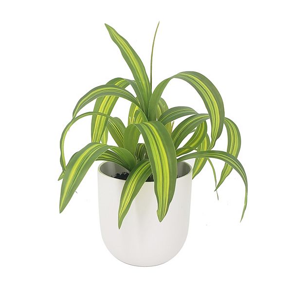 Lloyd & Hannah Faux Spider Plant & White Pot