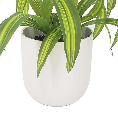 Lloyd & Hannah Faux Spider Plant & White Pot