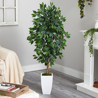 nearly natural 4.5-ft. Ficus Artificial Tree in White Metal Planter