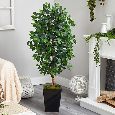 nearly natural 5-ft. Ficus Artificial Tree in Black Metal Planter