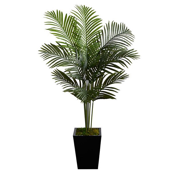 nearly natural 5-ft. Paradise Palm Artificial Tree in Black Metal Planter