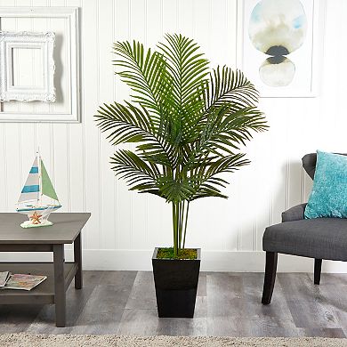 nearly natural 5-ft. Paradise Palm Artificial Tree in Black Metal Planter