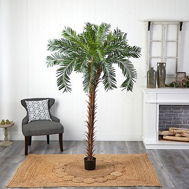 nearly natural 7-ft. Cycas Palm Artificial Tree