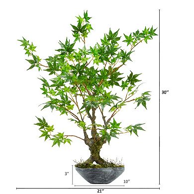 nearly natural 30-in. Maple Bonsai Artificial Tree in Planter