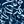 Navy Blooms