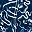 Navy Blooms