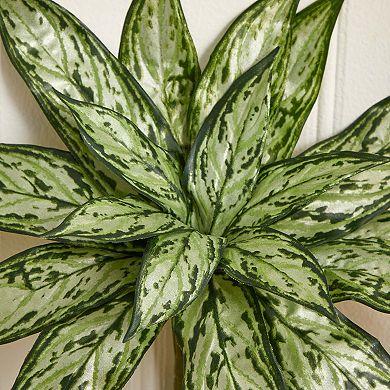 nearly natural 6-pc. 10-in. Variegated Silver Queen Artificial Plant Set