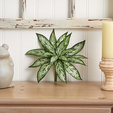 nearly natural 6-pc. 10-in. Variegated Silver Queen Artificial Plant Set