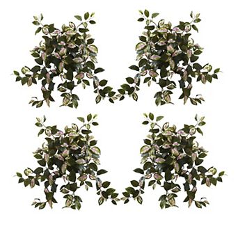 nearly natural 4 pc 21 in Hoya Hanging Bush Set