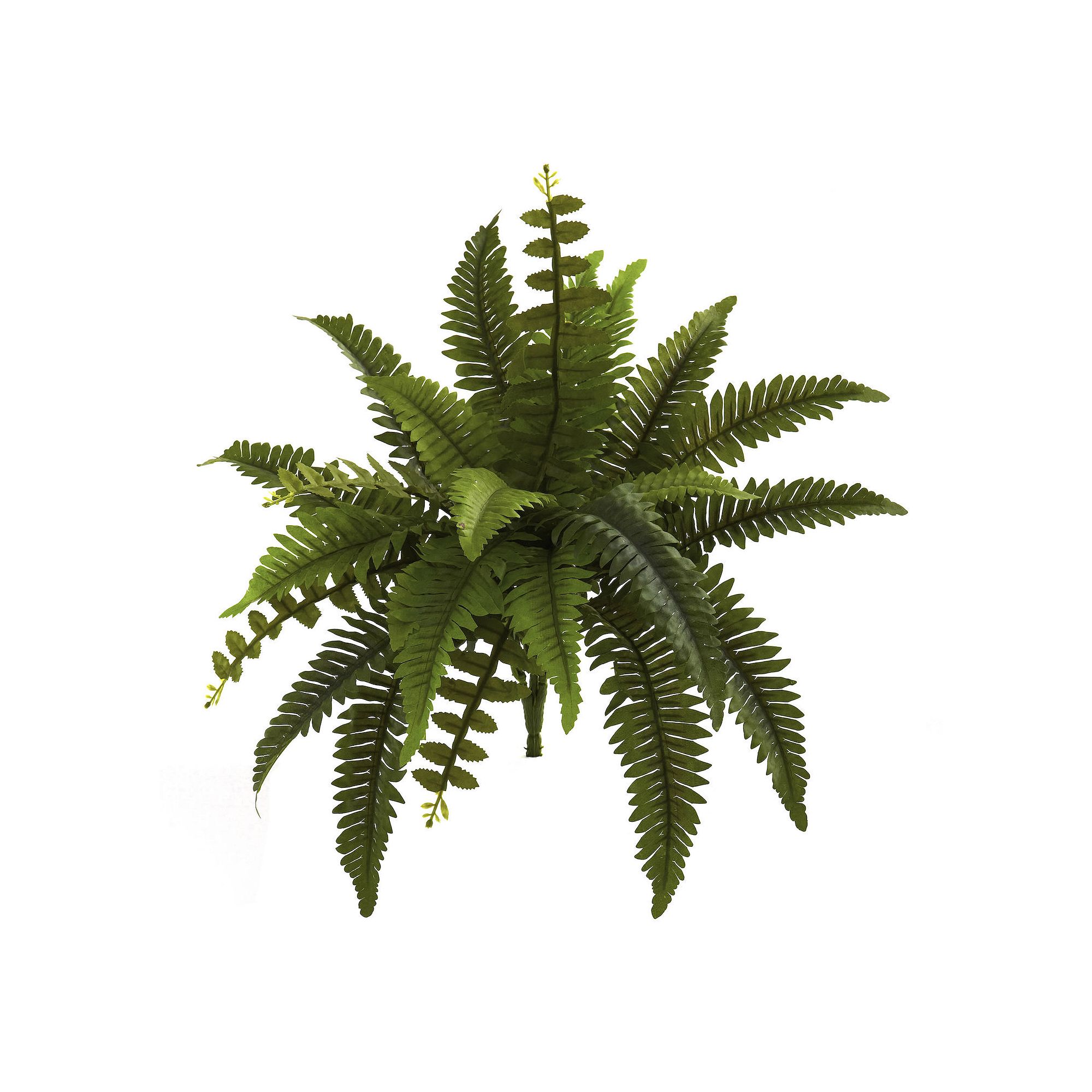 nearly natural 14-in. Boston Fern Artificial Plant, Green