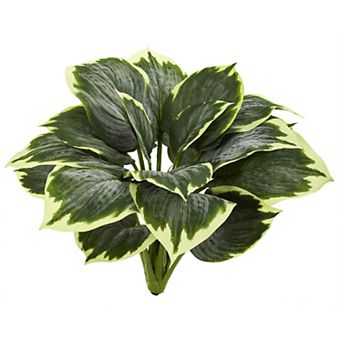 nearly natural Variegated Hosta Artificial Plant