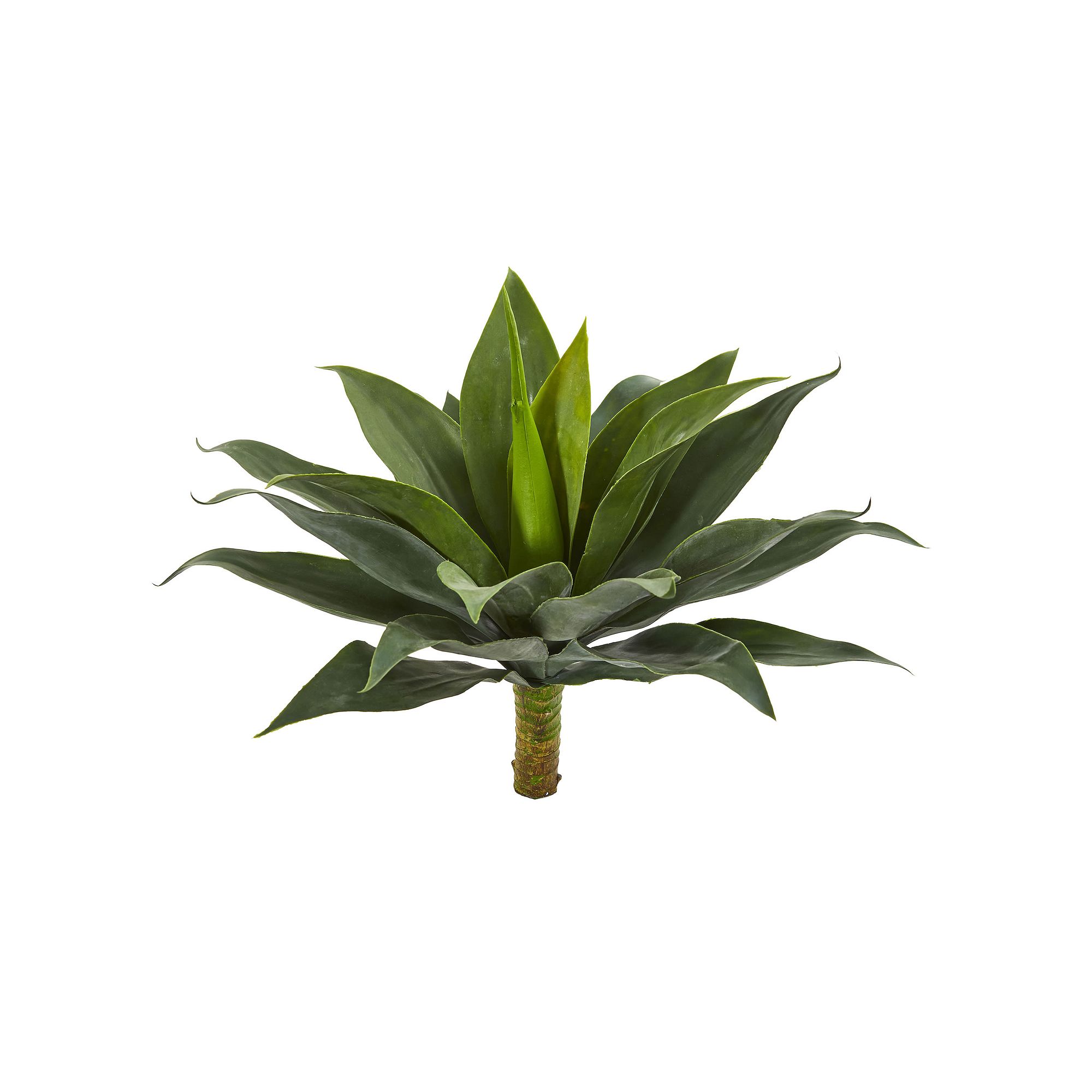 nearly natural 19-in. Large Agave Artificial Plant, Green