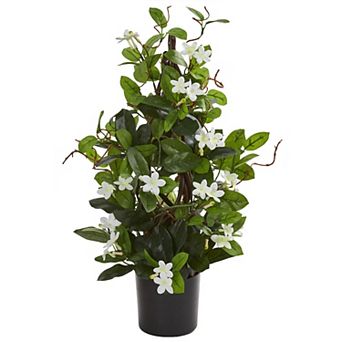 nearly natural 24 in Stephanotis Artificial Climbing Plant
