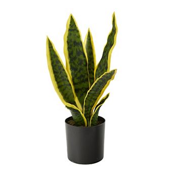 nearly natural 14 in Sansevieria Artificial Plant