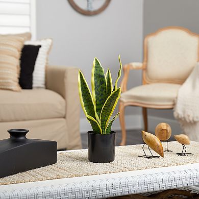 nearly natural 14-in. Sansevieria Artificial Plant