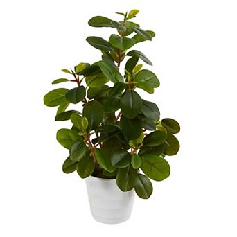 nearly natural 16 in Peperomia Artificial Plant in White Vase