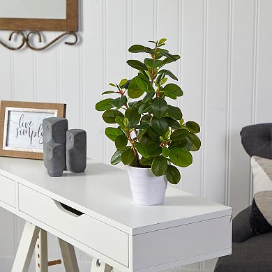 nearly natural 16-in. Peperomia Artificial Plant in White Vase