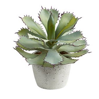 nearly natural 11 in Succulent Artificial Plant