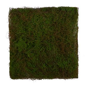 nearly natural 20 in Artificial Moss Mat Wall Decor