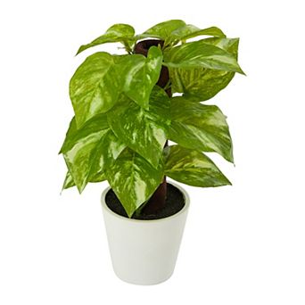 nearly natural 9 in Pothos Artificial Plant in White Planter