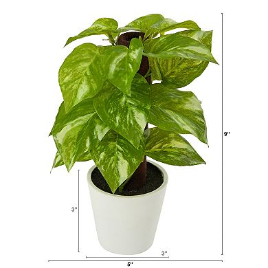 nearly natural 9-in. Pothos Artificial Plant in White Planter