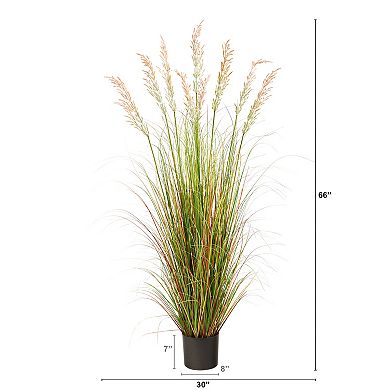 nearly natural 5.5-ft. Plume Artificial Grass Plant