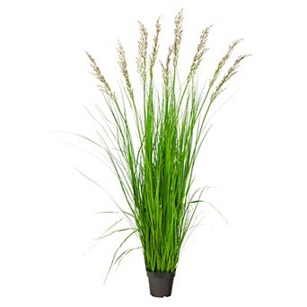 nearly natural 5.5-ft. Plume Grass Artificial Plant