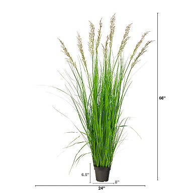 nearly natural 5.5-ft. Plume Grass Artificial Plant