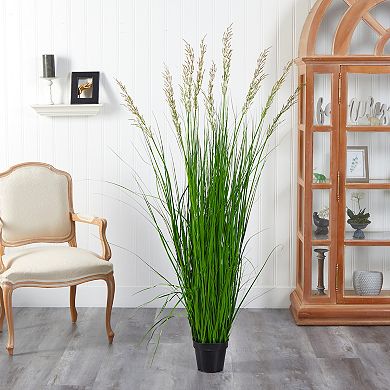 nearly natural 5.5-ft. Plume Grass Artificial Plant