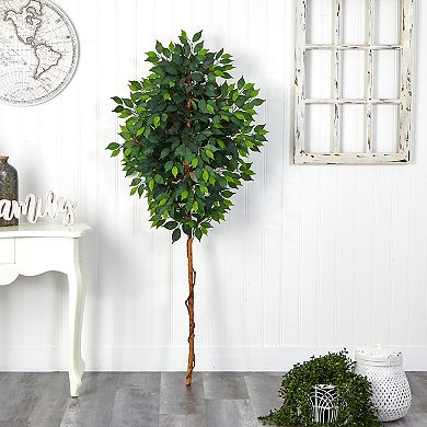 nearly natural 6-ft. No Pot Ficus Artificial Tree