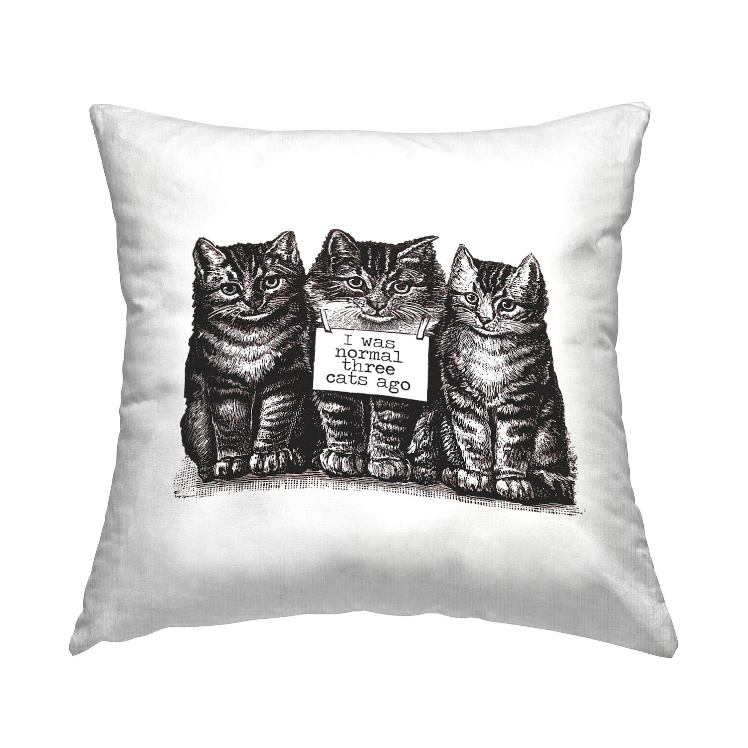 Kohls hotsell cat pillow