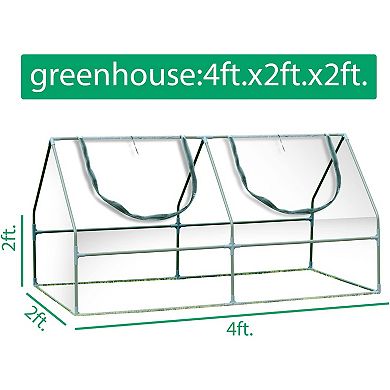 Aoodor 4 ft. x 2 ft. x 2 ft. Mini Greenhouse with 2 Zipper Doors  - Transparent