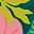 Tropical