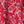 Red Swirl Paisley