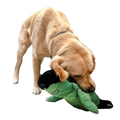 Marvel Hulk Pet Toy