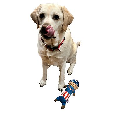 Marvel Captain America Tube Squeaker Pet Toy