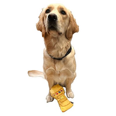 Thanos dog collar new arrivals