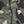 Marine Od Green