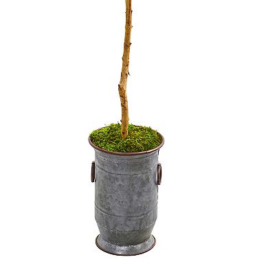 nearly natural 7.5-ft. Olive Artificial Tree in Decorative Planter