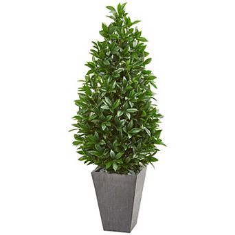 nearly natural 57 in UV Resistant Bay Leaf Cone Topiary Tree in Slate Planter