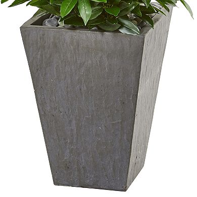 nearly natural 57-in. UV Resistant Bay Leaf Cone Topiary Tree in Slate Planter